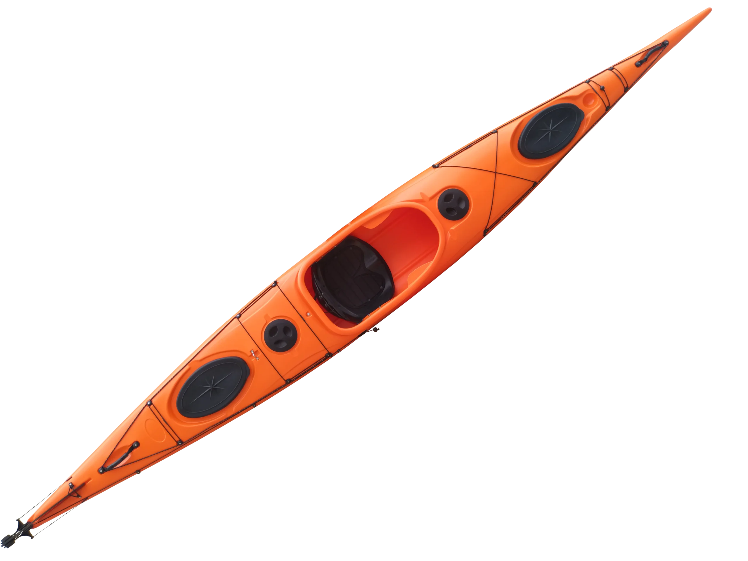 Dolphin 16
